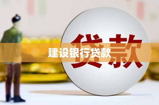镇巴建设银行贷款