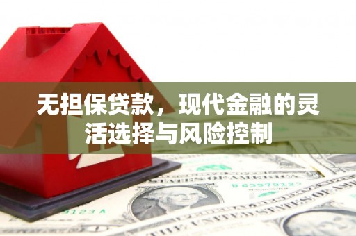镇巴无担保贷款，现代金融的灵活选择与风险控制