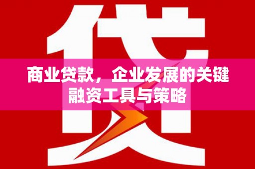镇巴商业贷款，企业发展的关键融资工具与策略