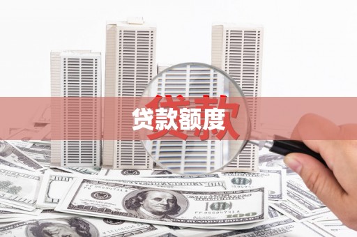 镇巴贷款额度