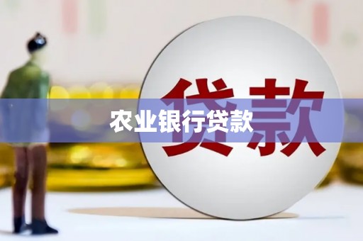 镇巴农业银行贷款