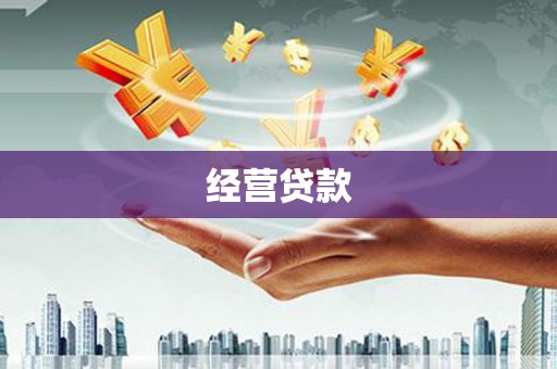 镇巴经营贷款