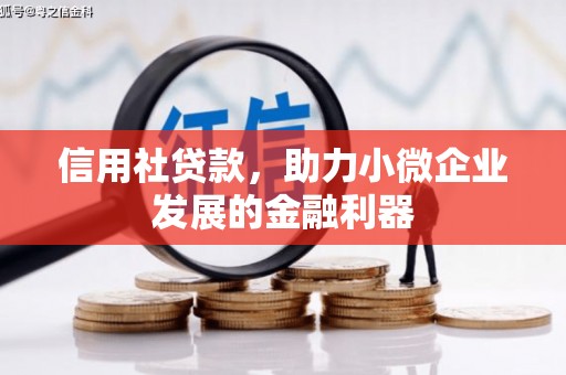 镇巴信用社贷款，助力小微企业发展的金融利器