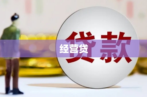 镇巴经营贷