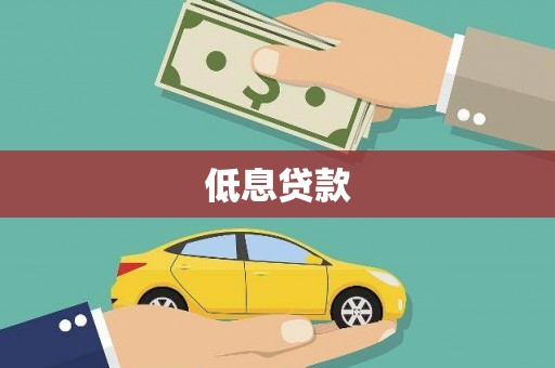 镇巴低息贷款