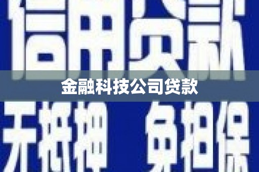 镇巴金融科技公司贷款