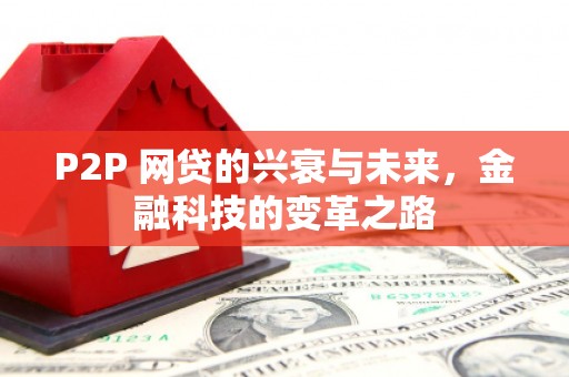镇巴P2P 网贷的兴衰与未来，金融科技的变革之路