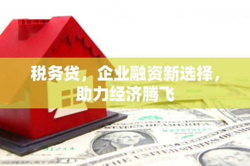 镇巴税务贷，企业融资新选择，助力经济腾飞