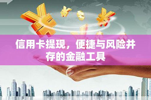 镇巴信用卡提现，便捷与风险并存的金融工具