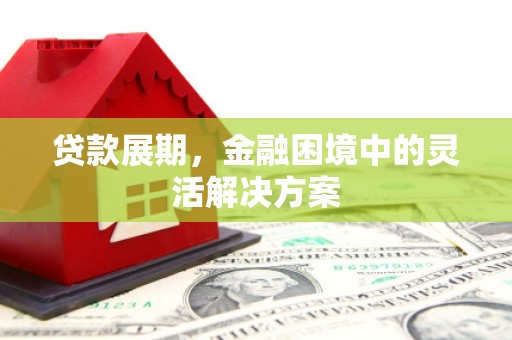 镇巴贷款展期，金融困境中的灵活解决方案