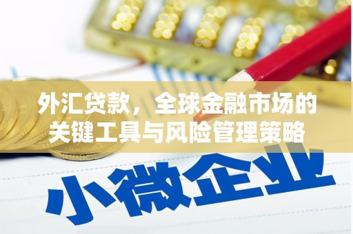 镇巴外汇贷款，全球金融市场的关键工具与风险管理策略
