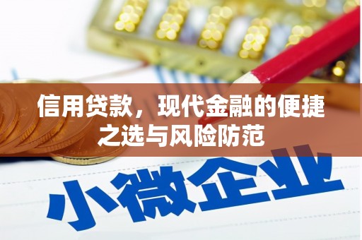 镇巴信用贷款，现代金融的便捷之选与风险防范