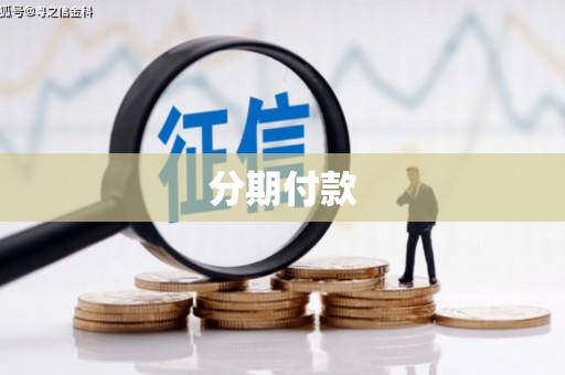 镇巴分期付款
