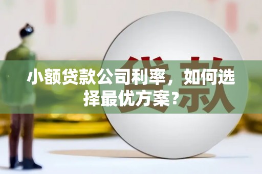 镇巴小额贷款公司利率，如何选择最优方案？