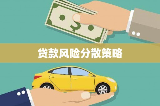 镇巴贷款风险分散策略