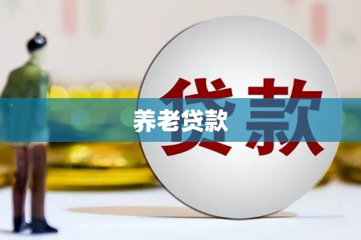 镇巴养老贷款