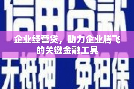 镇巴企业经营贷，助力企业腾飞的关键金融工具