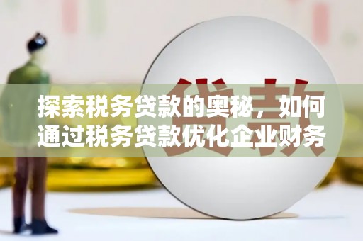 镇巴探索税务贷款的奥秘，如何通过税务贷款优化企业财务