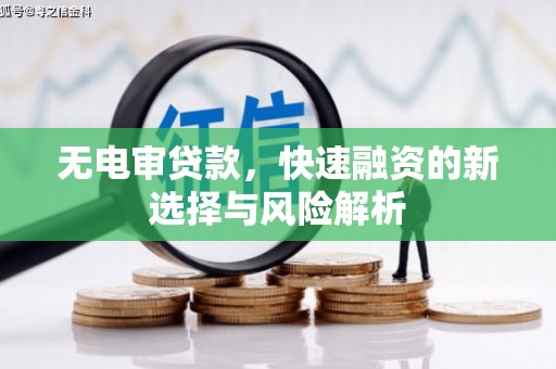 镇巴无电审贷款，快速融资的新选择与风险解析