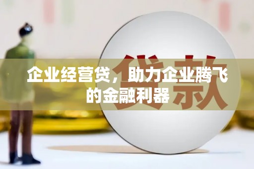 镇巴企业经营贷，助力企业腾飞的金融利器