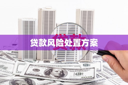 镇巴贷款风险处置方案