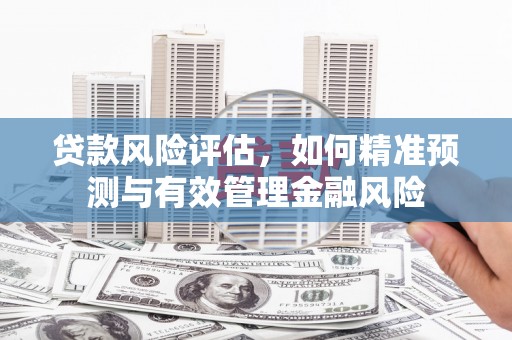镇巴贷款风险评估，如何精准预测与有效管理金融风险