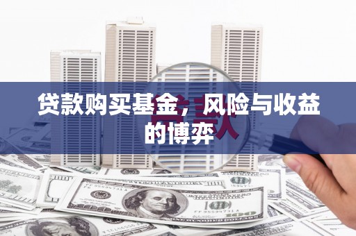 镇巴贷款购买基金，风险与收益的博弈