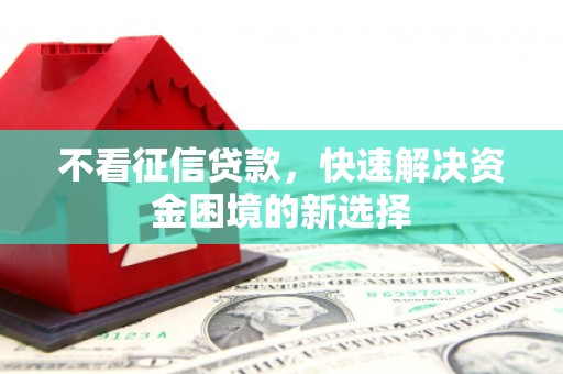 镇巴不看征信贷款，快速解决资金困境的新选择