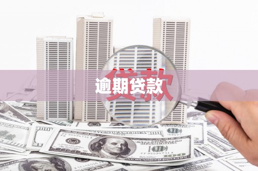 镇巴逾期贷款