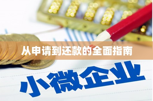 镇巴从申请到还款的全面指南