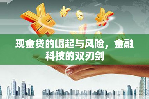 镇巴现金贷的崛起与风险，金融科技的双刃剑