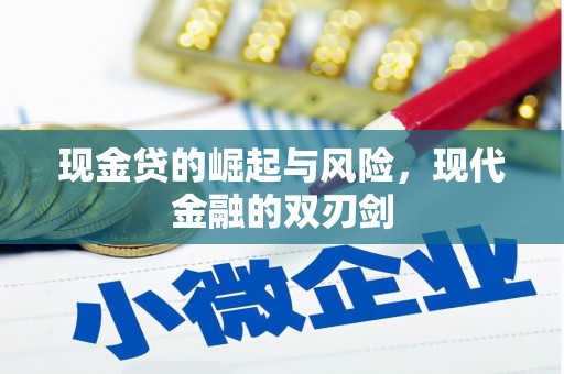 镇巴现金贷的崛起与风险，现代金融的双刃剑