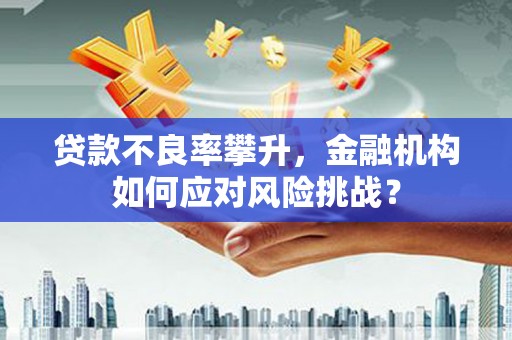 镇巴贷款不良率攀升，金融机构如何应对风险挑战？