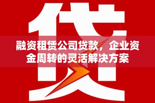 镇巴融资租赁公司贷款，企业资金周转的灵活解决方案
