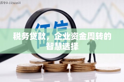 镇巴税务贷款，企业资金周转的智慧选择