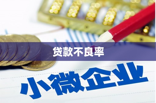 镇巴贷款不良率