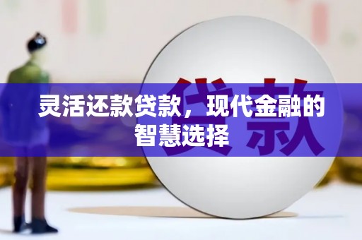 镇巴灵活还款贷款，现代金融的智慧选择