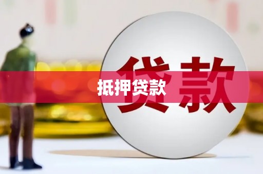 镇巴抵押贷款