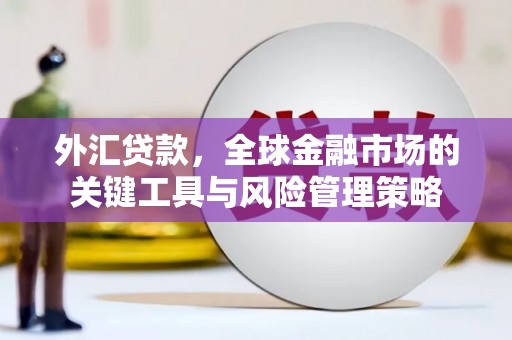镇巴外汇贷款，全球金融市场的关键工具与风险管理策略