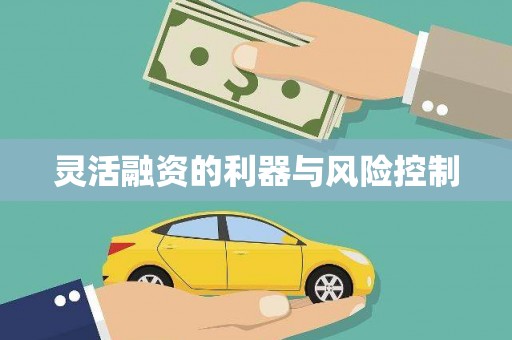 镇巴灵活融资的利器与风险控制