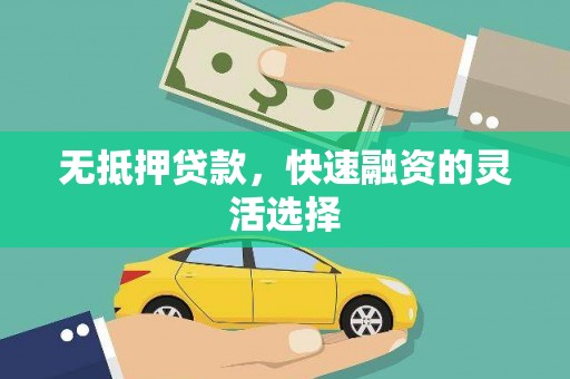 镇巴无抵押贷款，快速融资的灵活选择