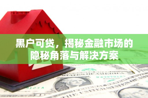 镇巴黑户可贷，揭秘金融市场的隐秘角落与解决方案
