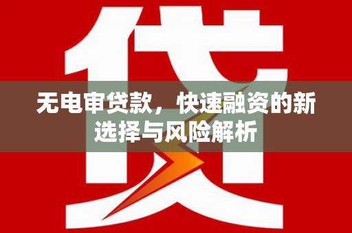 镇巴无电审贷款，快速融资的新选择与风险解析