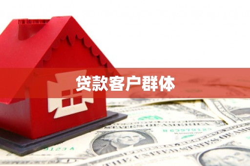 镇巴贷款客户群体
