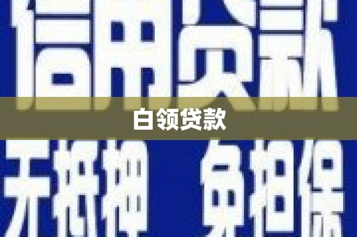 镇巴白领贷款