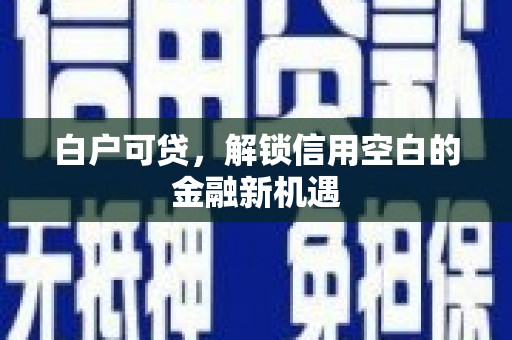镇巴白户可贷，解锁信用空白的金融新机遇
