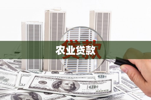 镇巴农业贷款