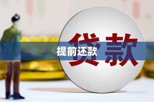 镇巴提前还款