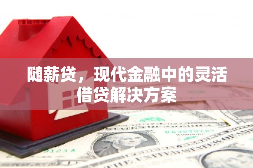 镇巴随薪贷，现代金融中的灵活借贷解决方案