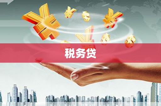 镇巴税务贷
